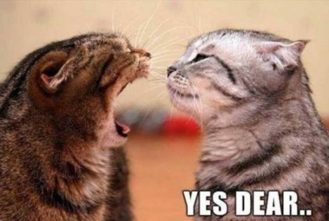 Memes About Marriage (28 pics)
