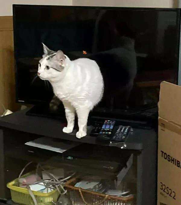 Glitches In The Matrix (17 pics) Glitches In The Matrix (17 pics)