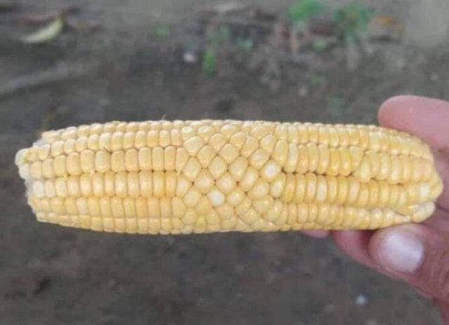 Glitches In The Matrix (17 pics) Glitches In The Matrix (17 pics)