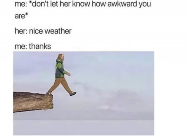 Memes For Introverts (14 pics)