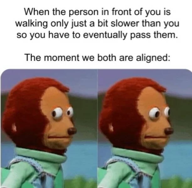Memes For Introverts (14 pics)