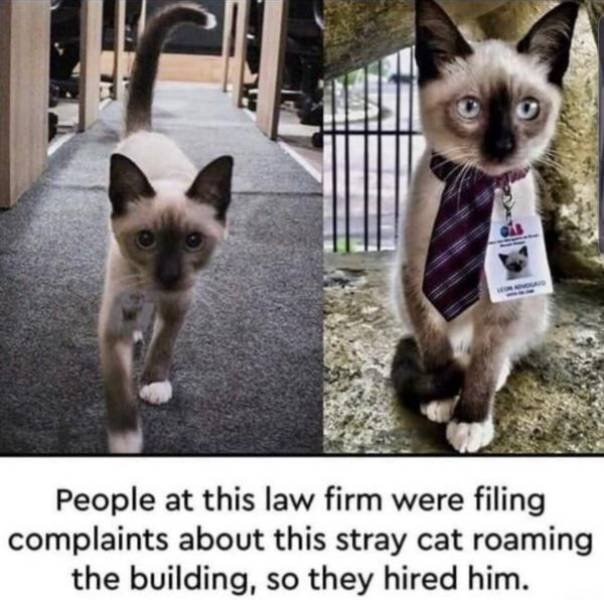 Kind Posts For A Good Mood (23 pics)
