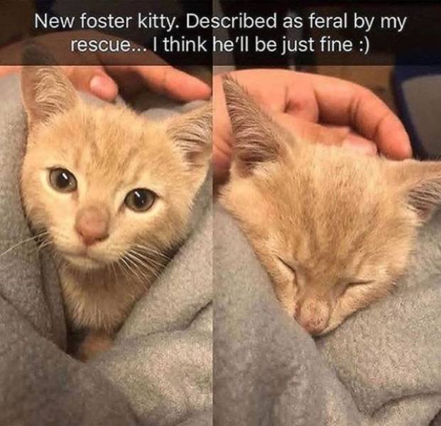 Kind Posts For A Good Mood (23 pics)