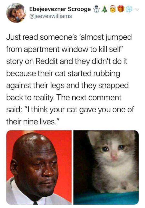 Kind Posts For A Good Mood (23 pics)