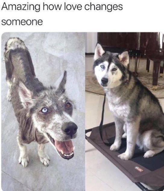Kind Posts For A Good Mood (23 pics)