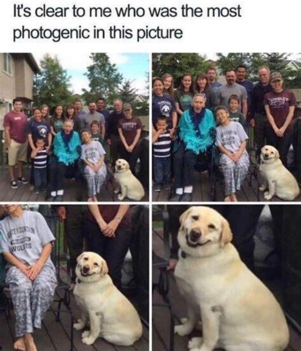 Kind Posts For A Good Mood (23 pics)