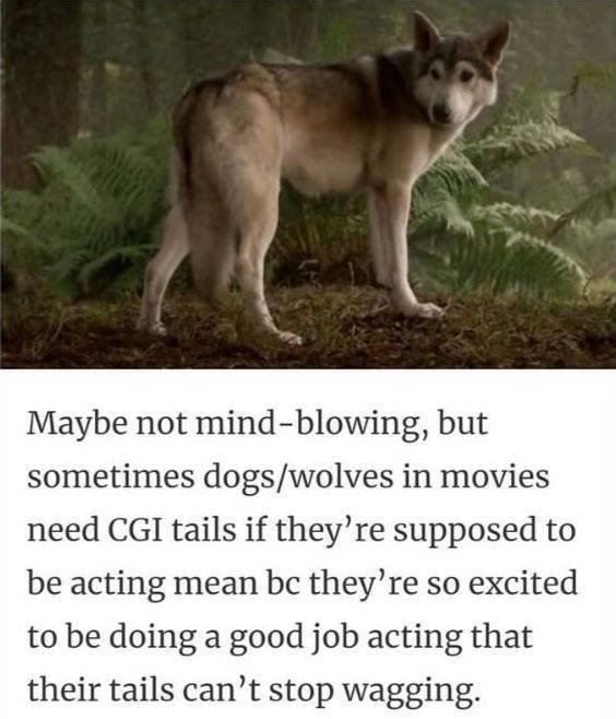 Kind Posts For A Good Mood (23 pics)