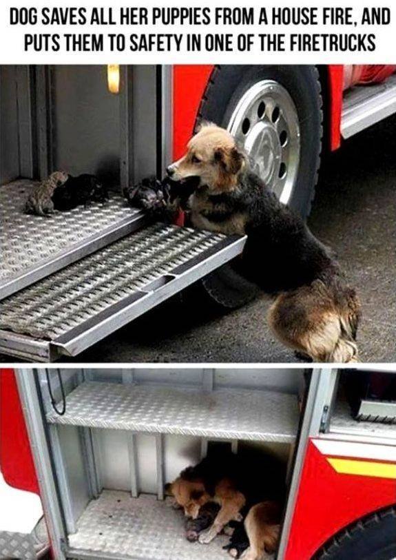 Kind Posts For A Good Mood (23 pics)