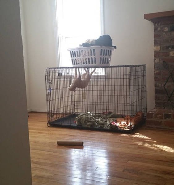 What Is Going On Here? (23 pics)