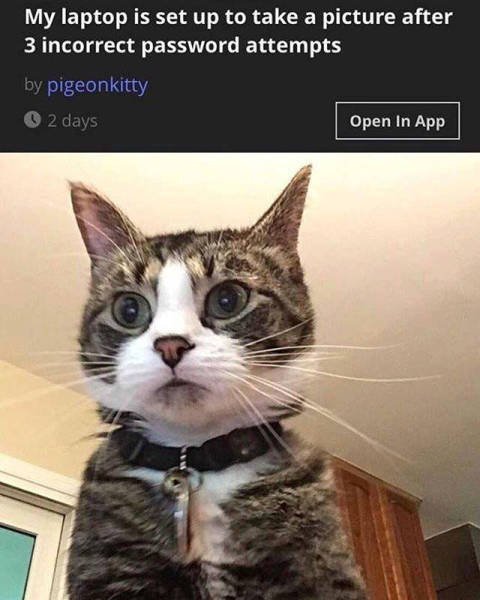 What Is Going On Here? (23 pics)
