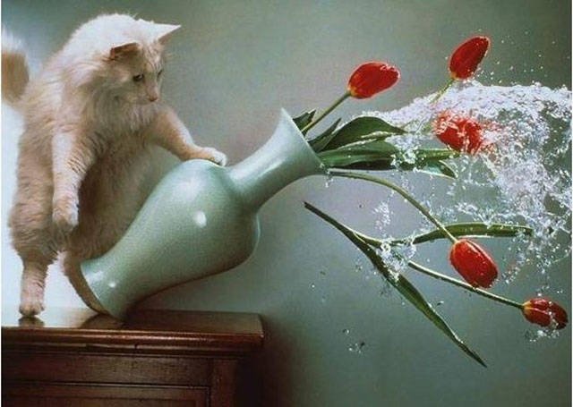 What Is Going On Here? (23 pics)