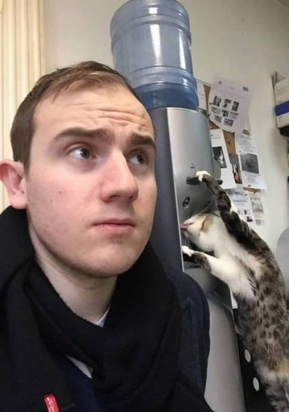 What Is Going On Here? (23 pics)