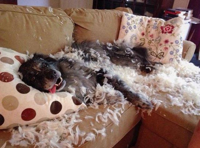 What Is Going On Here? (23 pics)