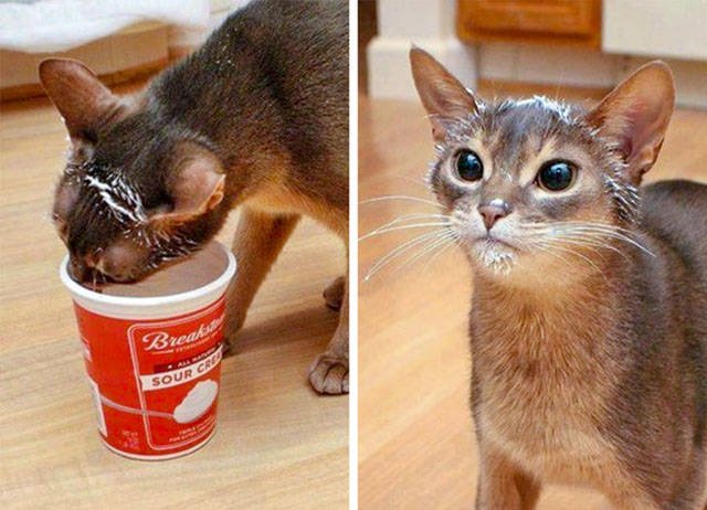 What Is Going On Here? (23 pics)