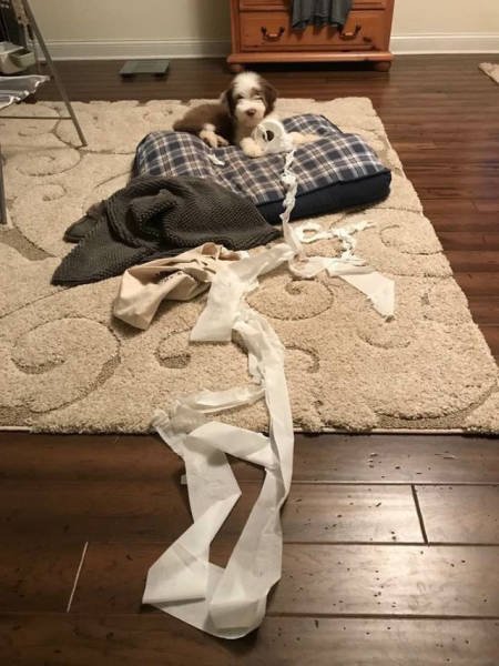 What Is Going On Here? (23 pics)