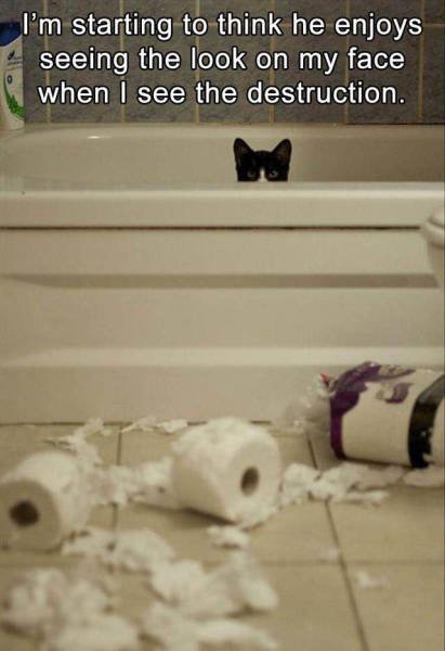 What Is Going On Here? (23 pics)