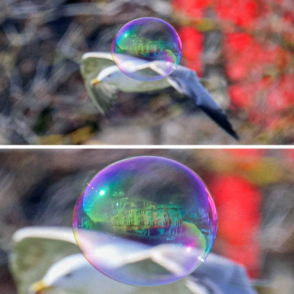 Unexpected Coincidences (46 pics)
