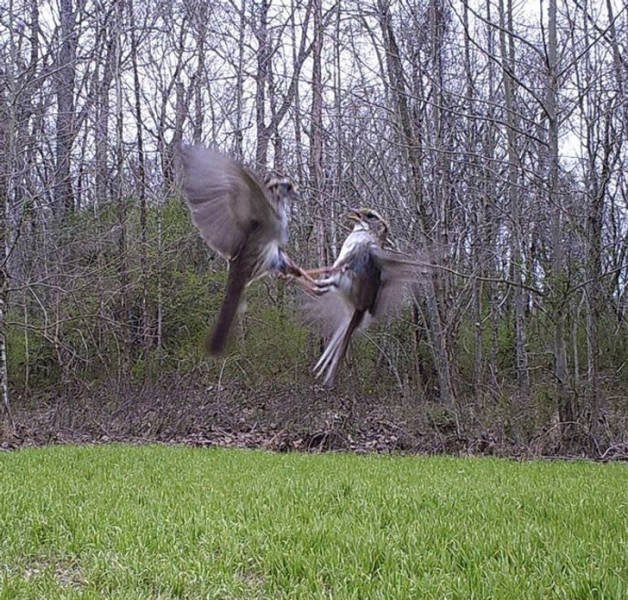 Unexpected Coincidences (46 pics)