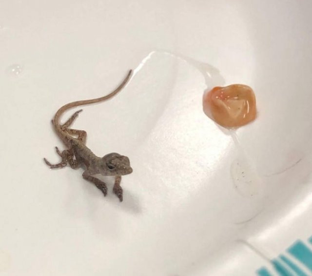 Unexpected Coincidences (46 pics)