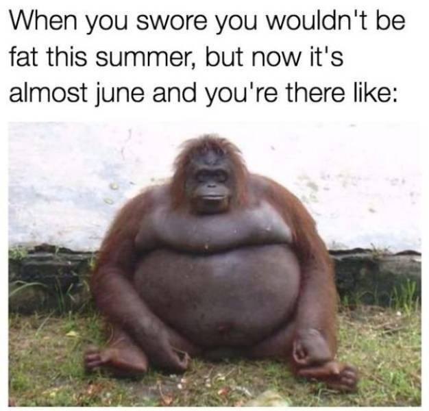 Memes For Singles (25 pics) Memes For Singles (25 pics)