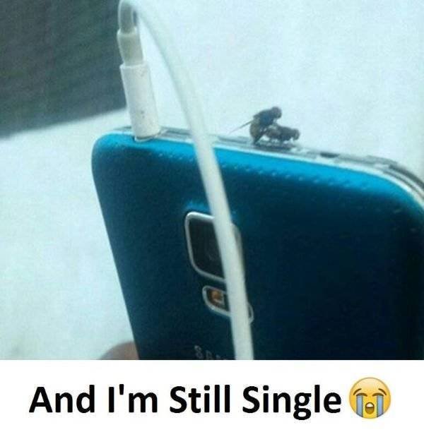 Memes For Singles (25 pics) Memes For Singles (25 pics)