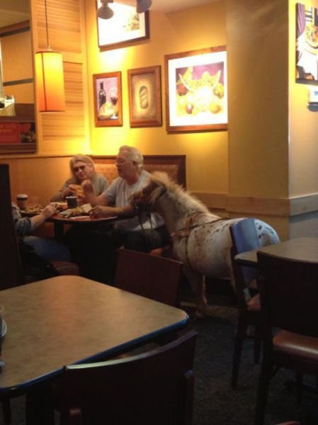 What Is Going On Here? (47 pics)
