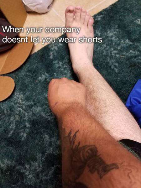 Work Memes And Photos (59 pics)