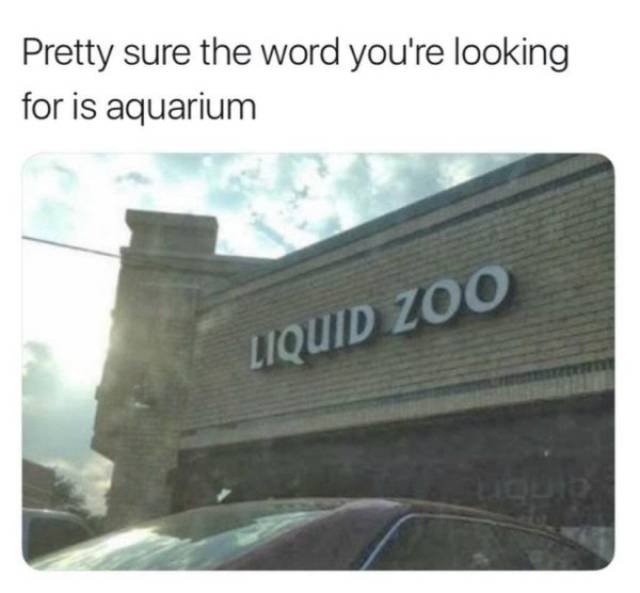Work Memes And Photos (59 pics)