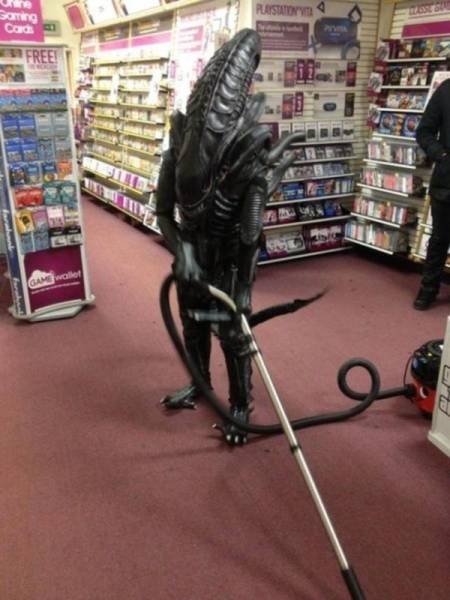 Work Memes And Photos (59 pics)