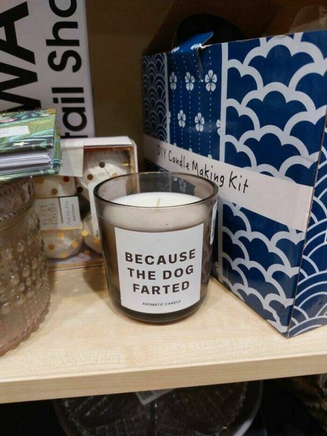 Unusual Finds In Thrift Shops (20 pics)