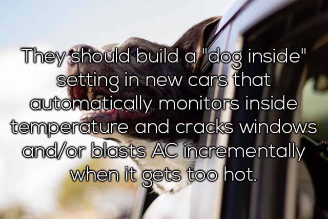 Odd Thoughts (35 pics) Odd Thoughts (35 pics)