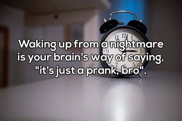 Odd Thoughts (35 pics) Odd Thoughts (35 pics)