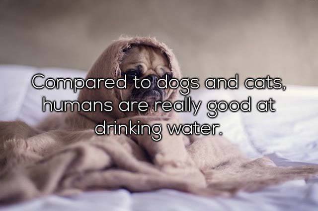 Odd Thoughts (35 pics) Odd Thoughts (35 pics)