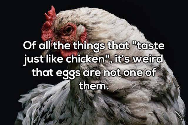Odd Thoughts (35 pics) Odd Thoughts (35 pics)