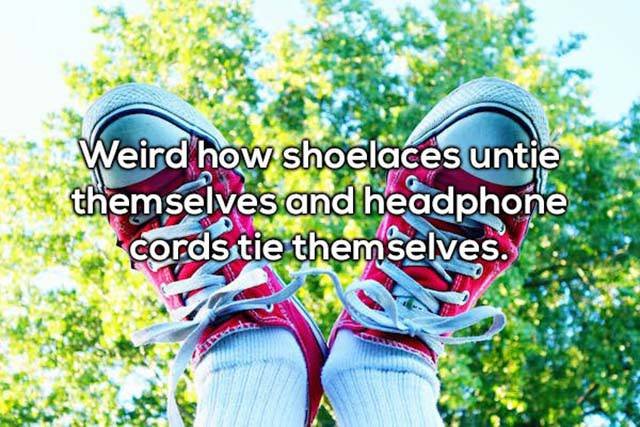 Odd Thoughts (35 pics) Odd Thoughts (35 pics)