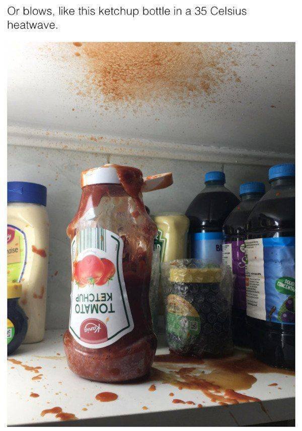 Epic Fails (46 pics)