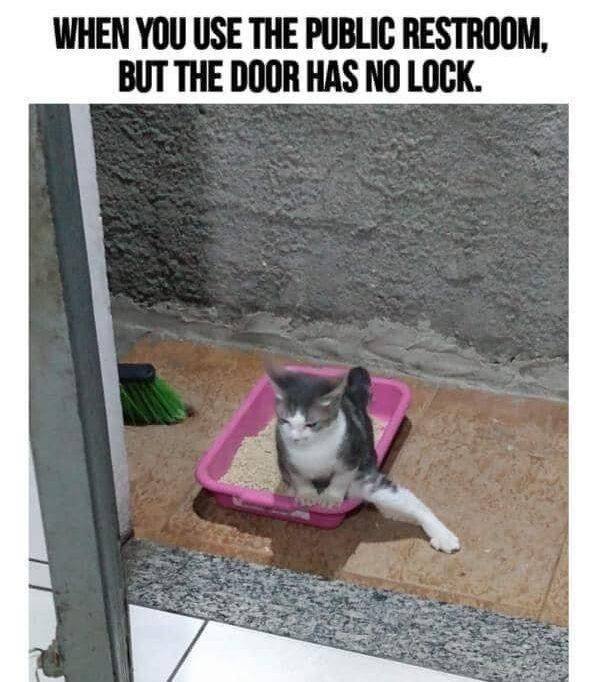 Epic Fails (46 pics)