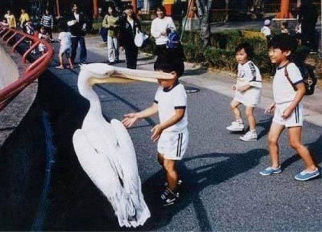 Epic Fails (46 pics)