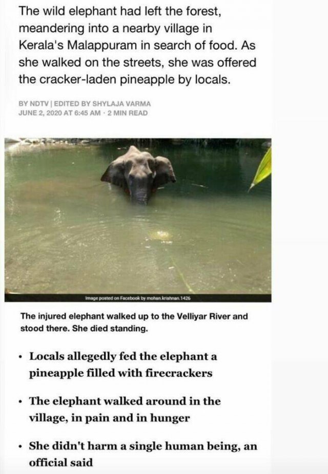 Horrible Acts Of People (20 pics)