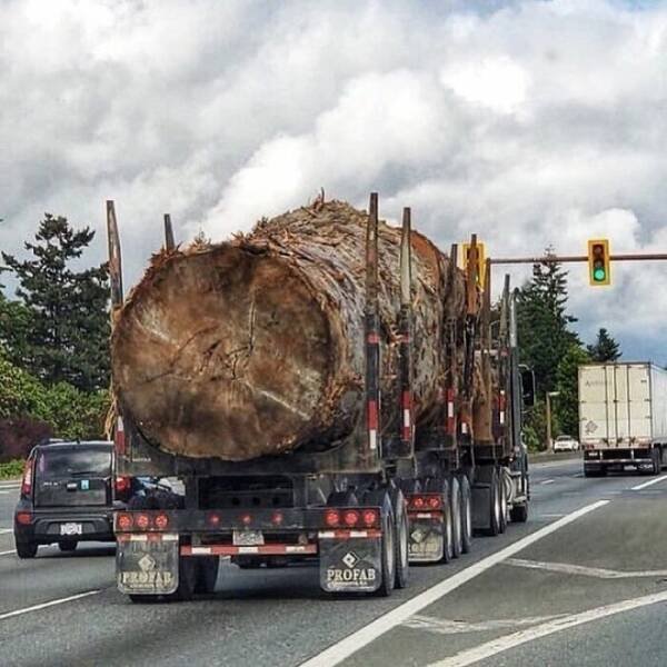 Horrible Acts Of People (20 pics)