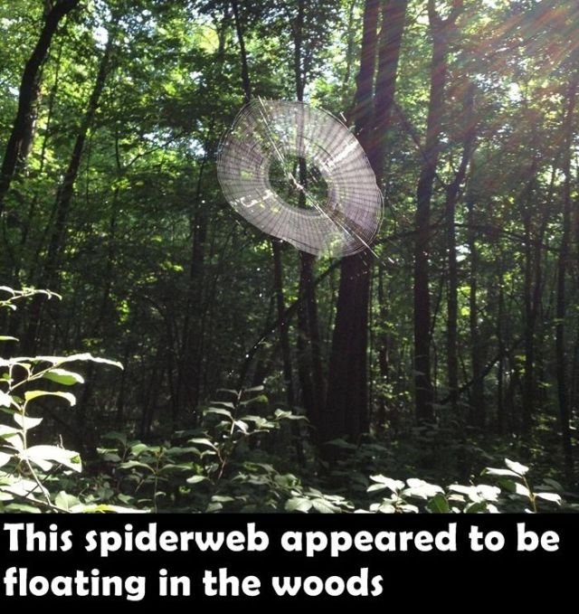 Funny Finds (23 pics)
