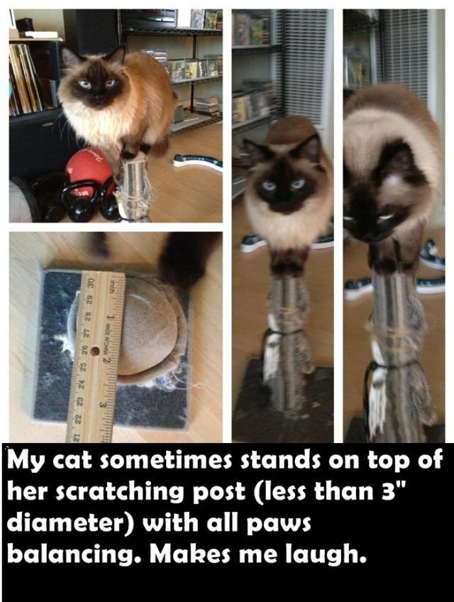 Funny Finds (23 pics)