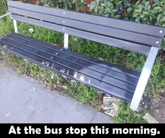 Funny Finds (23 pics)