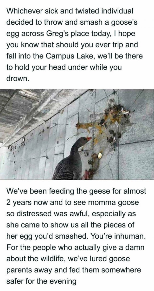 Horrible Acts Of People (20 pics)