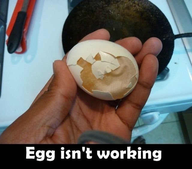 Funny Finds (23 pics)