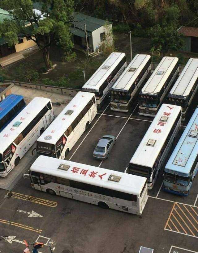 Horrible Acts Of People (20 pics)