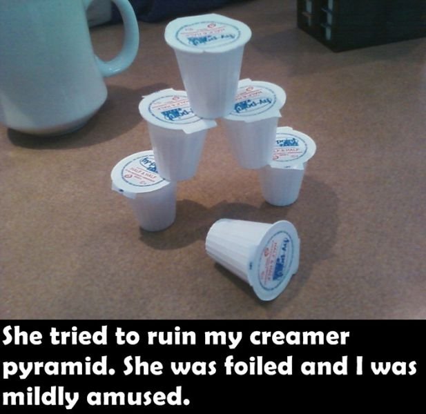 Funny Finds (23 pics)
