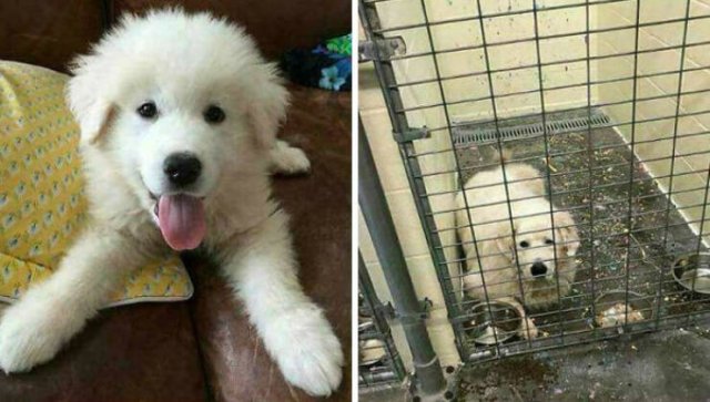 Horrible Acts Of People (20 pics)