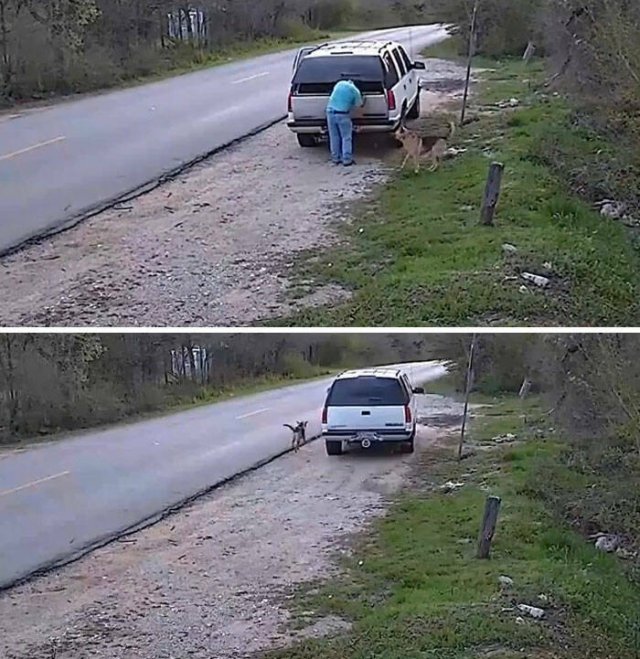Horrible Acts Of People (20 pics)