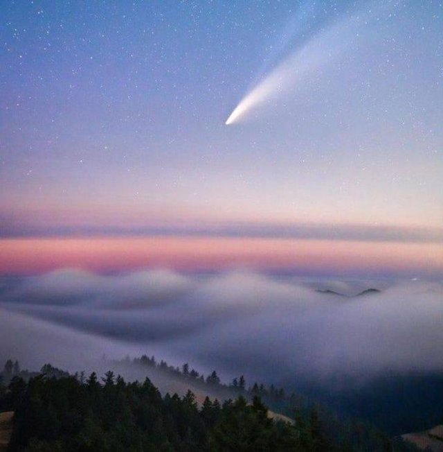 Interesting Finds And Discoveries (16 pics)